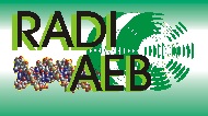 RADI-AEB: Red Andaluza de Investigación en Algoritmos Evolutivos y Bioinspirados